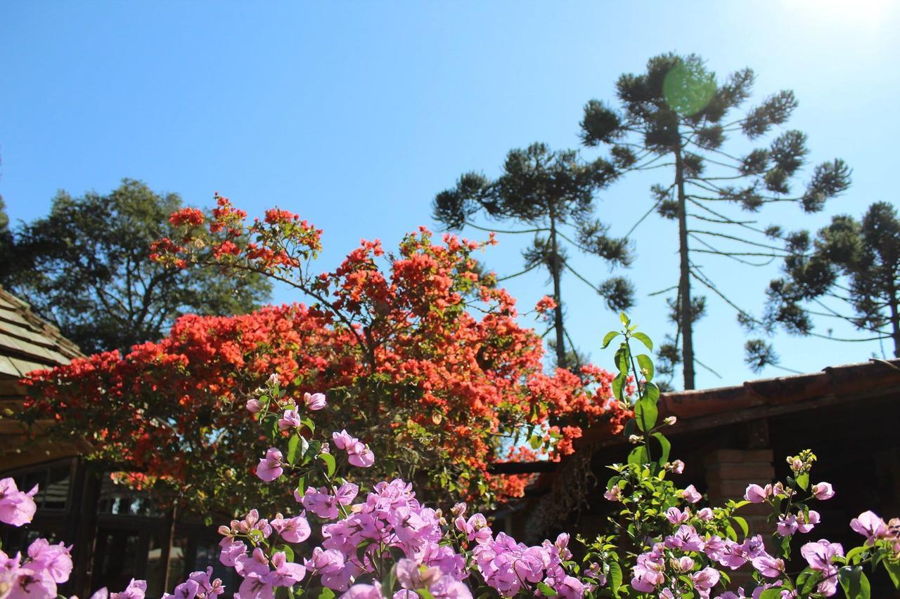 Inn Pousada Terra Viva *